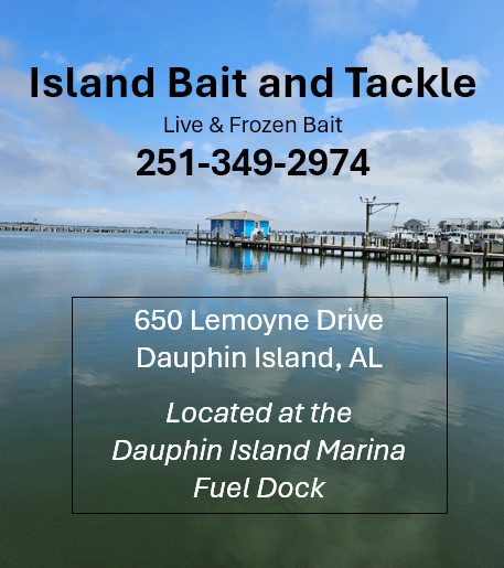 Bait Shop Ad timeline